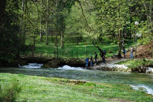 BosnaSpring_006
